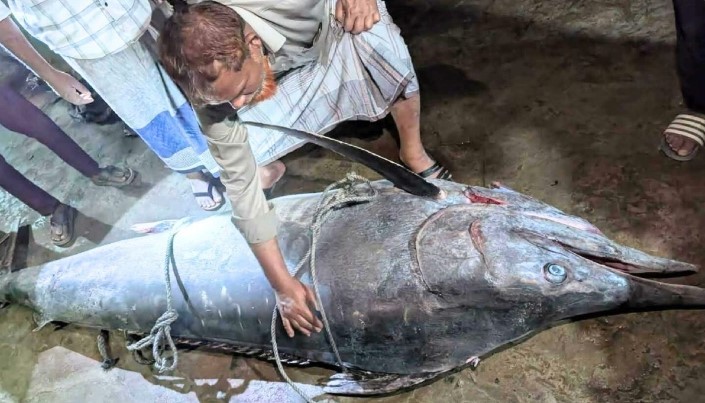 জেলের জালে ধরা পড়লো ২০০ কেজি ওজনের ‘পাখি মাছ’